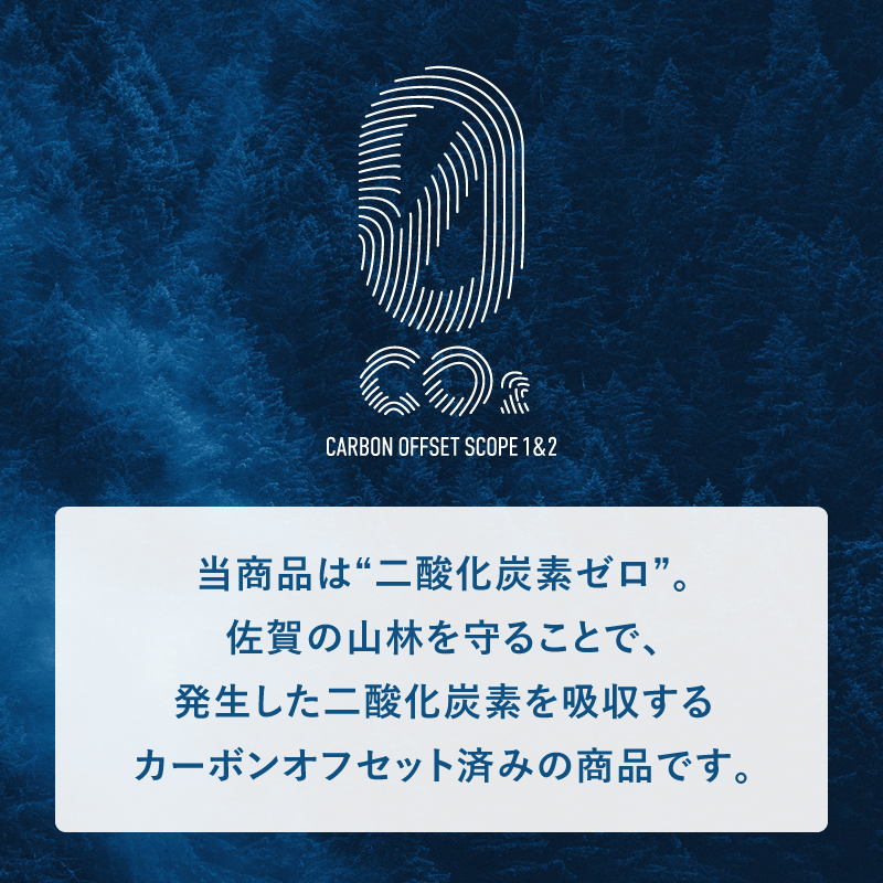 C-01 アームチェア｜無垢材削り出しの曲線美・前脚まで伸びる安定のアーム・選べる2種の樹種と9種の張地・日本製・完成品の画像