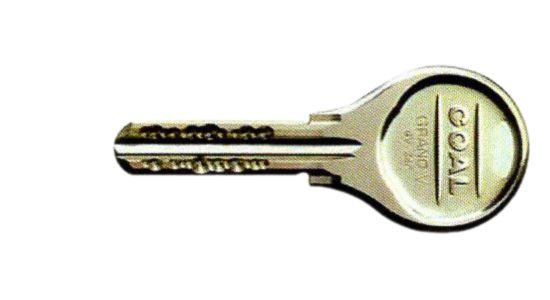 GOAL GV(グランV)の画像