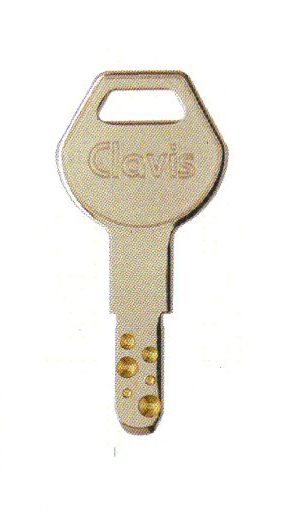 Clavis 門扉の鍵画像