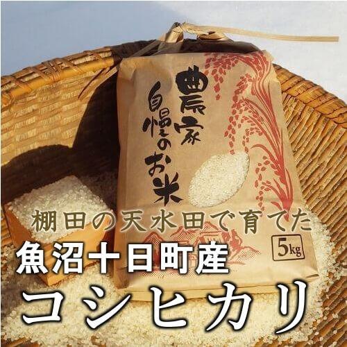 魚沼産コシヒカリ  10kg（5kg×２袋）令和4年産 棚田天水田米 精米直後発送の画像