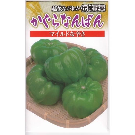 ナンバン苗 自根 かぐら南蛮苗の画像