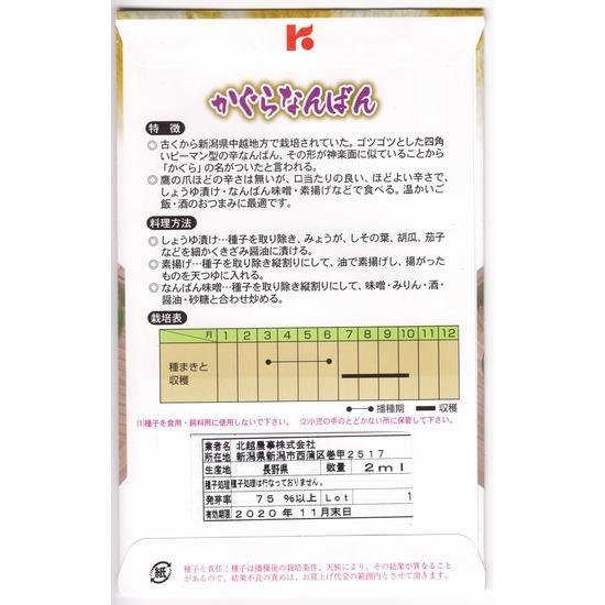 ナンバン苗 自根 かぐら南蛮苗の画像