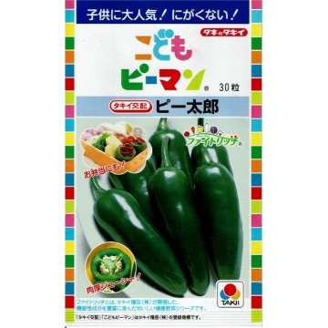 こどもピーマン苗 ピー太郎苗の画像