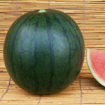小玉スイカ苗 ひとりじめBonBon 接木苗の画像