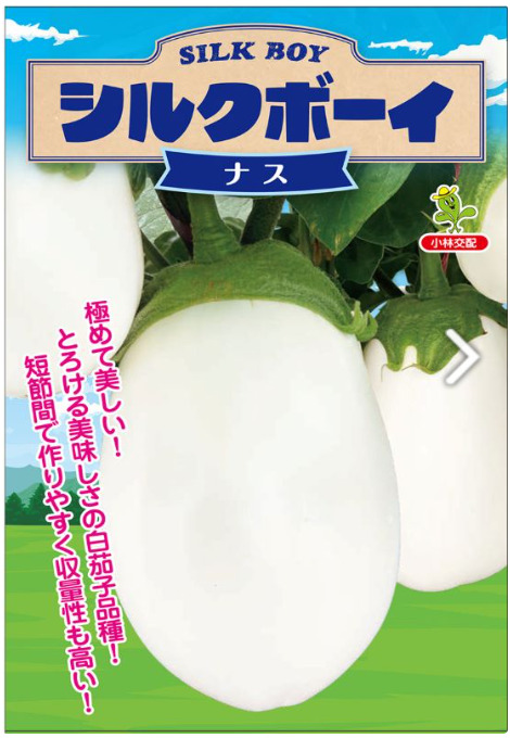 ナス苗 シルクボーイ 接木苗の画像