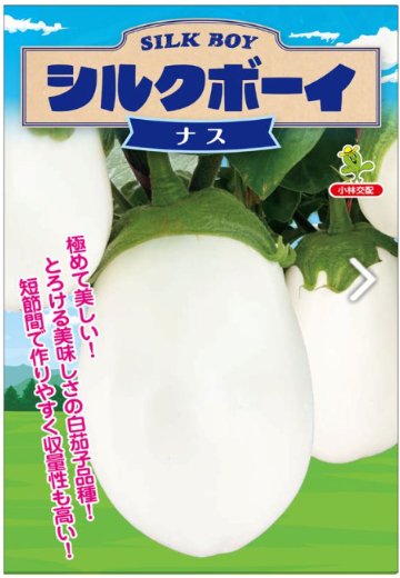 ナス苗 シルクボーイ 接木苗の画像