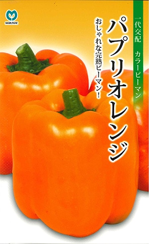 パプリカ苗 パプリオレンジ苗の画像