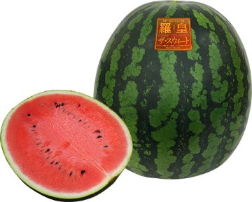 スイカ苗 羅皇 ザ・スウィート 接木苗の画像