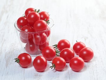 トマト苗 キャロルポポ 接木苗の画像