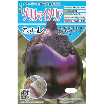 ナス苗 グリルでイタリア 接木苗の画像