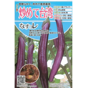 ナス苗 炒めて台湾 接木苗の画像