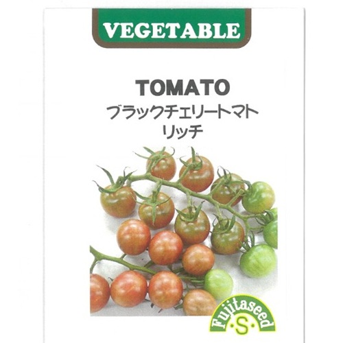 トマト苗 ブラックチェリーリッチ 接木苗の画像