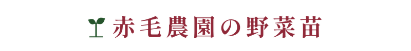 赤毛農園の野菜苗