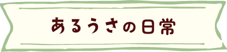 あるうさの日常