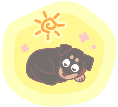 丸まって眠っているくうちゃん