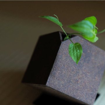 香紙器 / 漆の画像