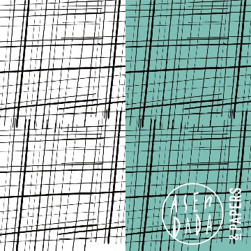  ASENDADA【Plaid】/ PAPERの画像