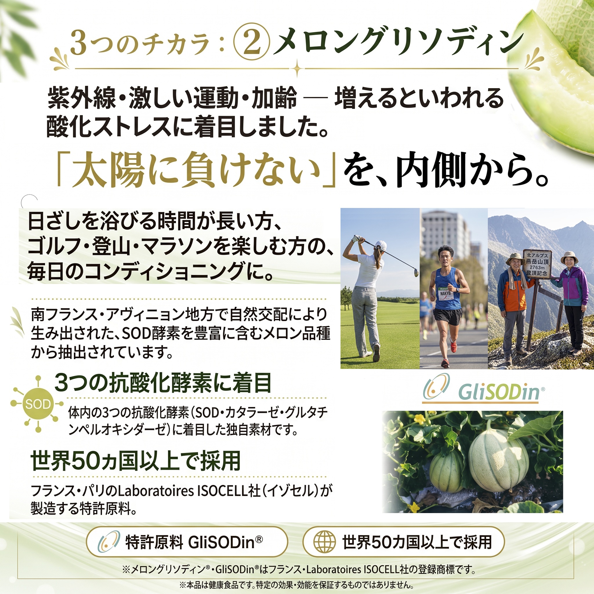 マナヴィーの画像