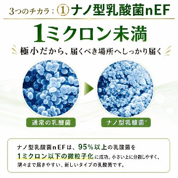 マナヴィーの画像
