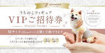 【VIPご招待券】うちのこフィギュアの画像