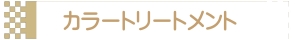 カラートリートメント