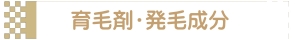 育毛剤(発毛成分)