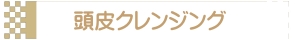 頭皮クレンジング