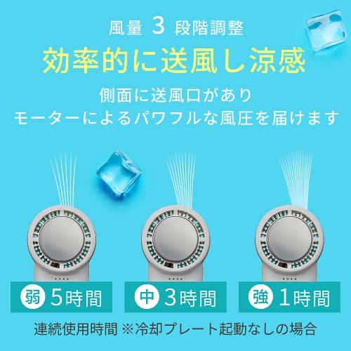 チベタイン