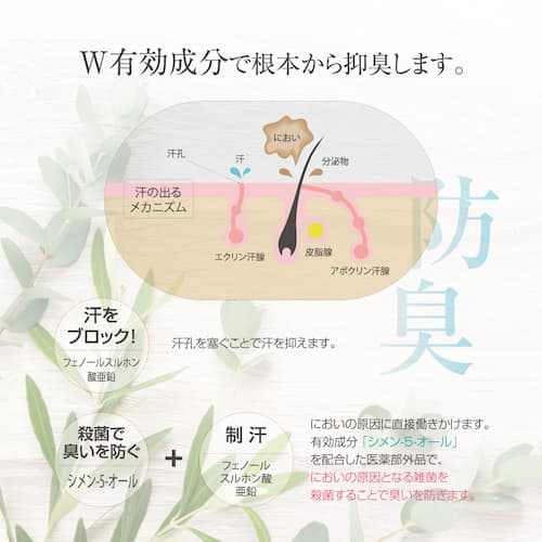 シークレットプラス デオドラントスプレー　「ワンプッシュ」で制汗&防臭の画像