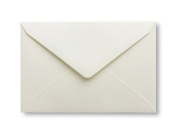 【印刷なし】招待状　梅花の画像