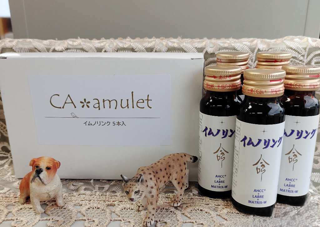 イムノリンク5の画像