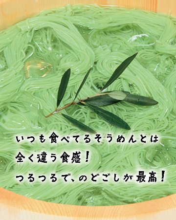 手延べ半生オリーブ素麺｜小豆島ヘルシーランド画像