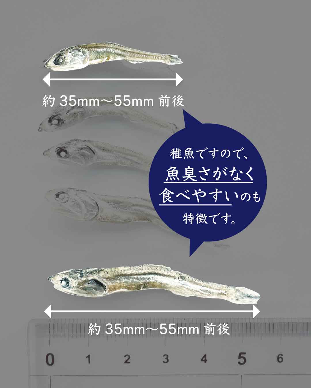 食べるかえりいりこ「ちびっ子いりこ」|池田漁業組合の画像