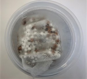 パラダイス銀河水素入浴セットの画像