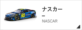 NASCAR ナスカー モデルカー