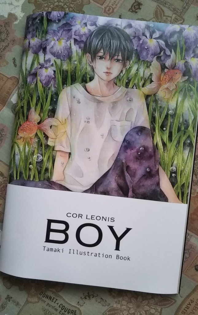 イラスト集「BOY」の画像