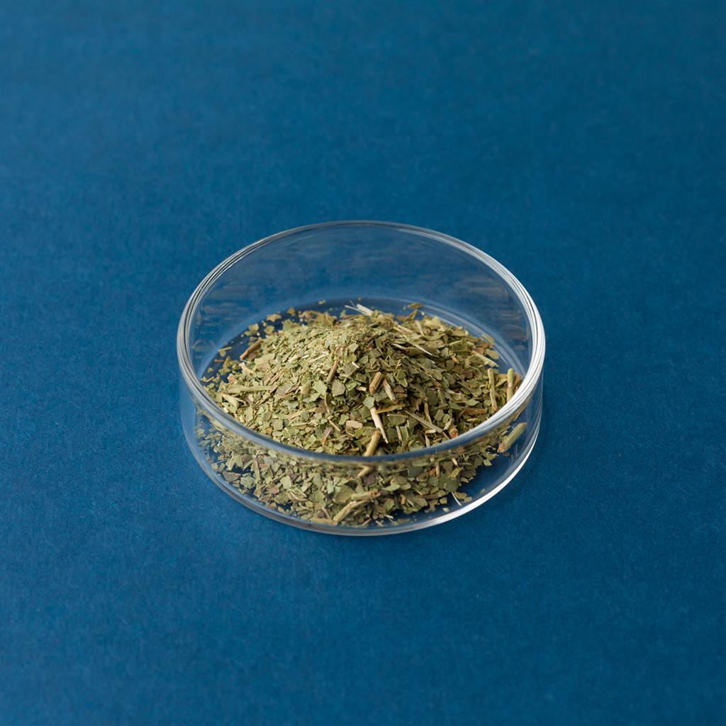 枇杷葉茶 無農薬 10gの画像