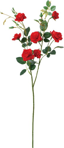 ベルベットローズスプレーの画像