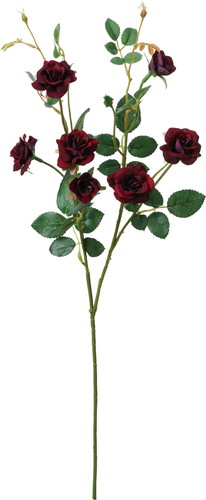 ベルベットローズスプレーの画像