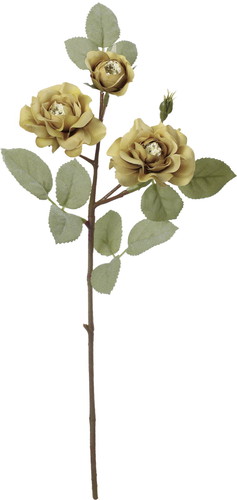 クレールローズスプレーの画像