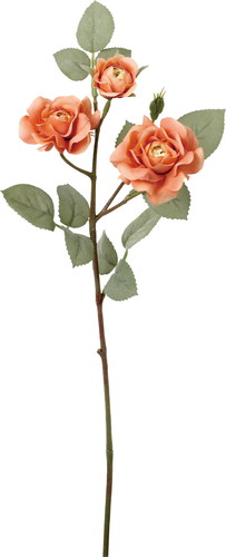 クレールローズスプレーの画像