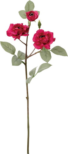 クレールローズスプレーの画像