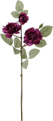 クレールローズスプレーの画像