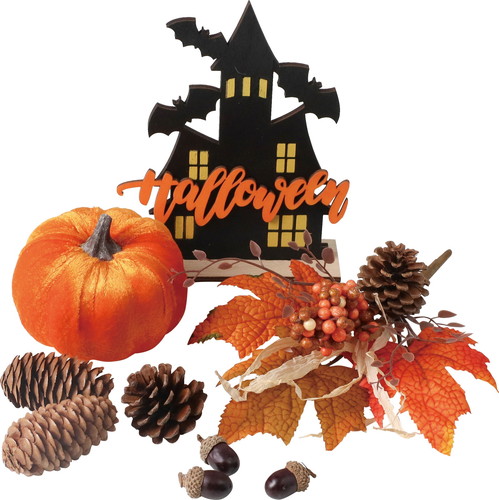 [HW -1617] ﾊﾛｳｨﾝﾃﾞｨｽﾌﾟﾚｲｾｯﾄの画像