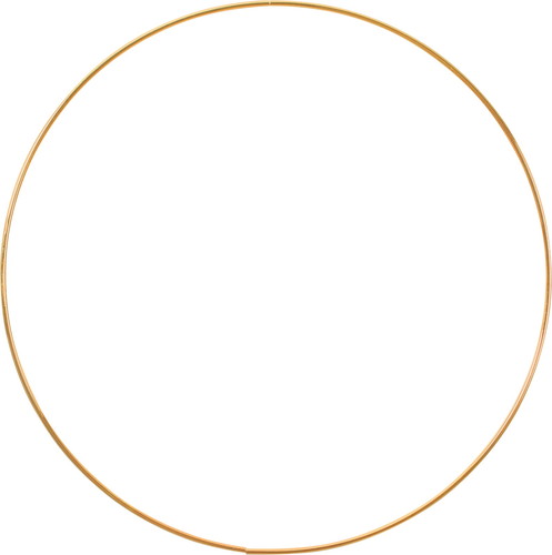 35CMワイヤーリング GOの画像