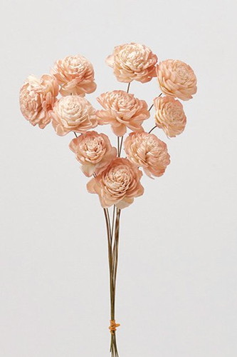 ソーラーローズ・小・ツートン ホワイトピンク【ホワイトピンク】の画像