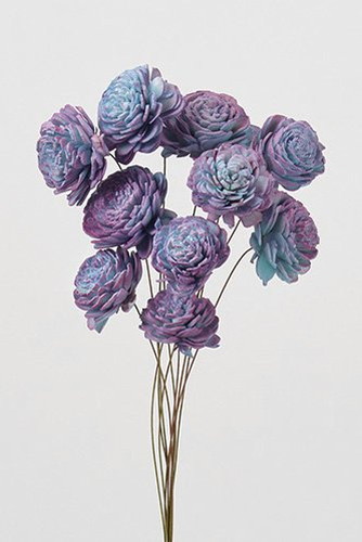 ソーラーローズ・小・ツートン ブルーパープル【ブルーパープル】の画像