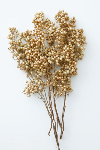 ペッパーベリー・プリザーブド アイボリーゴールド【アイボリーゴールド】の画像