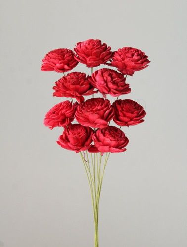 ソーラーローズ 小 クイーンレッドの画像