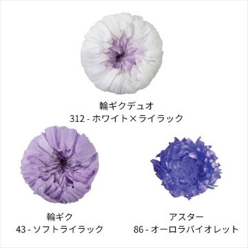 マムパレット ライラックミックスの画像
